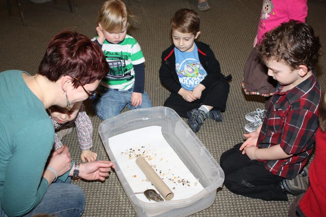 Kids can learn about mice and their babies, and other spring topics, at the "Animals and Nature Together" program at the Hudson Highlands Nature Museum. PHOTO BY MAUREEN MOORE