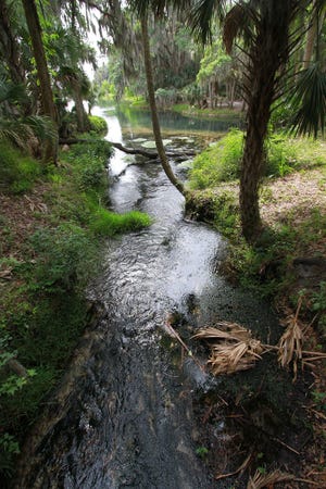 News-Journal/JIM TILLER
Gemini Springs in DeBary was partly purchased with Florida Forever funds.