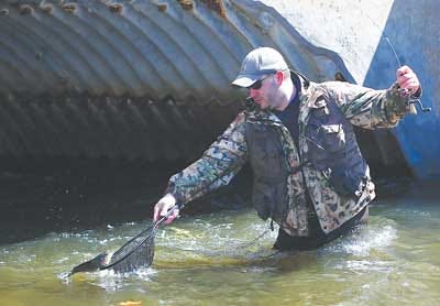 Photo by Tracy Klimek/New Jersey Herald David Decker, of Hampton, stands in the Paulinskill River in Lafayette on Saturday reaching out with a net for a fish he caught on the first day of trout season.