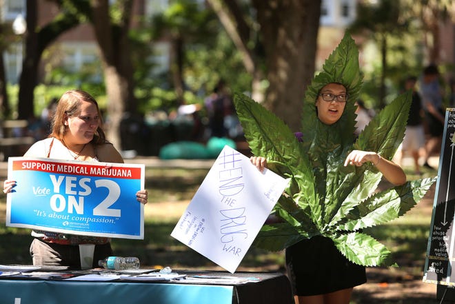 In this file photo, University of Florida students, from left, Brittany Natale and Angel Lauver, both 20, with Students for Sensible Drug Policy, show support for the vote on medical marijuana at Plaza of the Americas on the UF campus Wednesday, October 15, 2014.