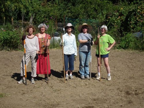 Transition Wayland team members work in the experimental Community Gardens plots. COURTESY PHOTO