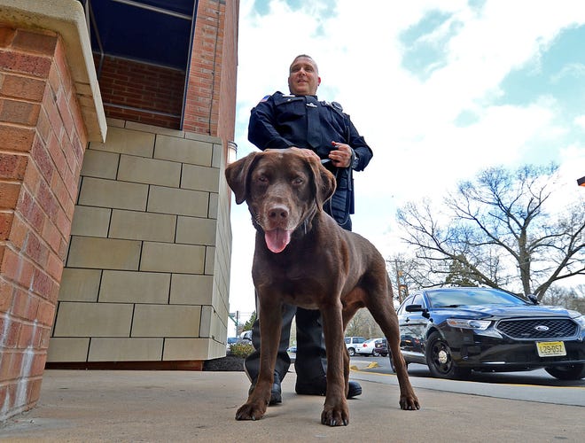 Detective Christopher Snyder of the Burlington County Sheriffs Department with "Scottie", his chocolate lab who graduated, Friday, April 17, 2015 as a bomb detecting dog.