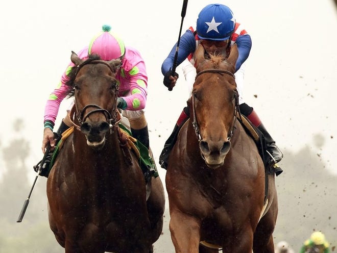 Dortmund, right, will head into the Kentucky Derby with six wins in as many starts. Dortmund is trained by Bob Baffert. Baffert’s other Derby contender, American Pharoah, has won five of his six starts.