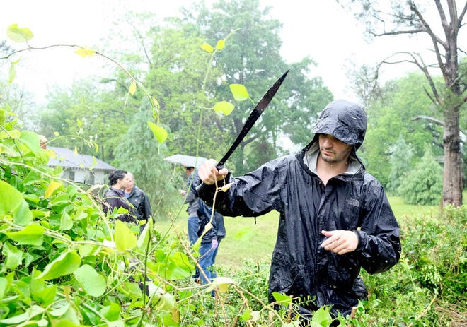 Tanner Mobley, of the Georgia Regents University Biology Club, helps clear away unwanted brush at the Rollersville Cemetery on Saturday. The cemetery was established in 1827 and no records were kept of the plots until 1883.
