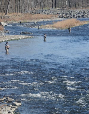 Anglers line the Brodhead Creek in Stroud Township as they vie for the big catch on the first day of trout season in Monroe County on Saturday. (Keith R. Stevenson/Pocono Record)