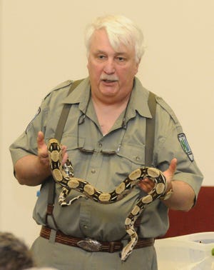 Gerry Wronski holds a boa constrictor during a snake presentation at historic Batsto Village in Wharton State Forest on Sunday.