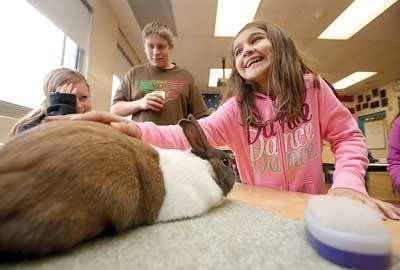 Photo by Daniel Freel/New Jersey Herald - Merriam Avenue School second-grader Jessica Nornan pets a Dutch rabbit named “Smores” as she and her fellow classmates visit the Newton High School agriculture building on Monday as part of the school’s Ag Days.