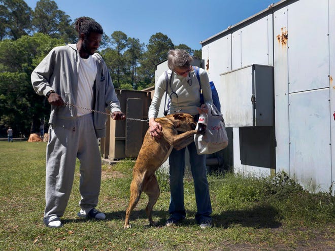 Veterinarian Patti Gordon, center, stops to pass out some pet items while visiting the pets belonging to homeless residents at Dignity Village homeless camp, including some goods for James Ousley, left, and his dog, Magic, at the GRACE Marketplace in Gainesville, Fla., Saturday, March 28, 2015.