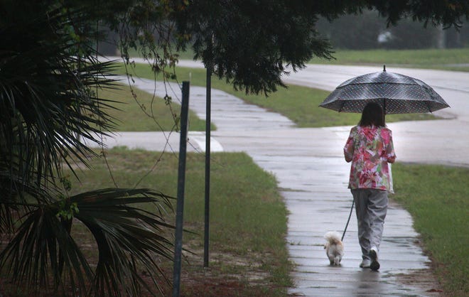 A woman walks her dog on a rainy Tuesday morning in Deltona. More rain is expected today.