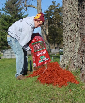 Tyler Smith places mulch around trees. Christy Hart-Harris Photo