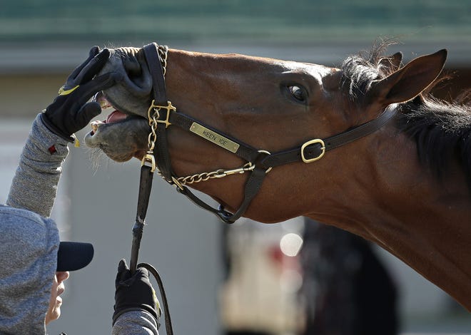 East Greenwich resident Mark Weiner will be in Las Vegas Saturday for the Mayweather-Pacquiao boxing match, but will be keeping an eye on Kentucky Derby hopeful Keen Ice, one of four horses the syndicate he's a part of has running that day at Churchill Downs.

AP Photo/Charlie Riedel