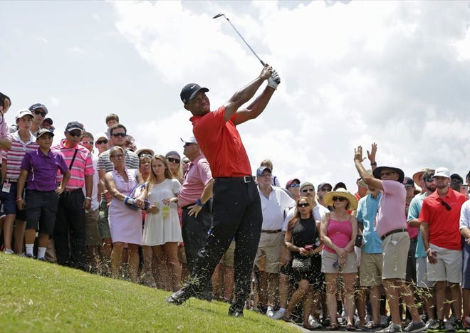 Tiger Woods hits from the rough off the 18th fairway during the final round of The Players Championship golf tournament on Sunday in Ponte Vedra Beach.