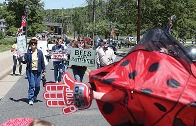 Photo by Jake West/New Jersey Herald Protesters take to Main Street in Sparta on Saturday during the Food Matters: March Against Monsanto event.