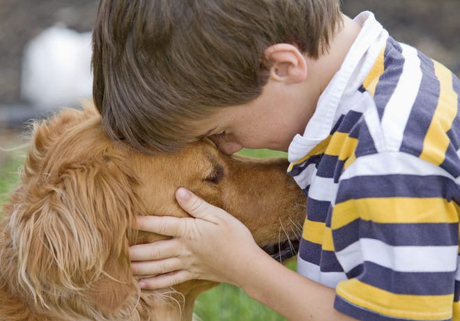 Children more likely to tell pets their problems than siblings, study says