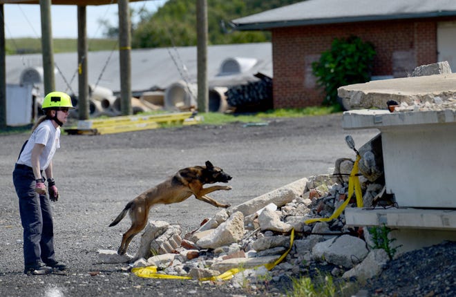 Charlotte Grove sends her dog, Etta, on a search mission in the rubble pile.