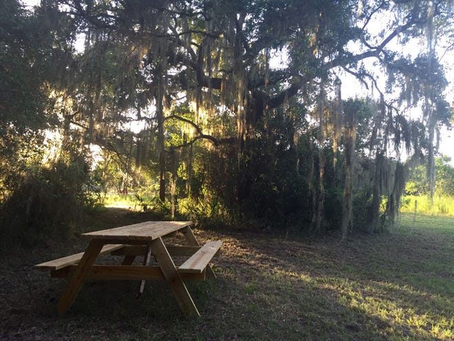 arasota County will open the Walton Ranch nature preseve in North Port with a ribbon-cutting ceremony at 10 a.m. Monday, June 8. The park offers benches and picnic tables along 19 miles of often-shaded trails