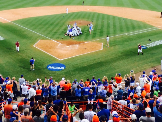 The Florida Gators baseball team celebrate their NCAA Super Regional victory over Florida State on Saturday.
