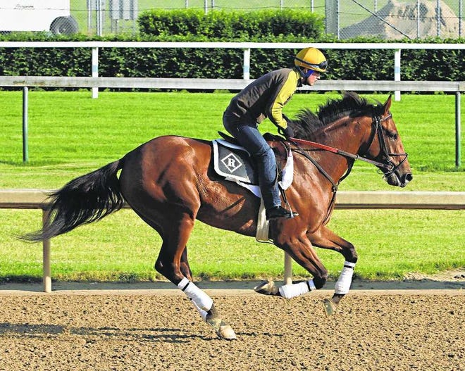 Belmont Stakes hopeful Keen Ice, ridden by exercise rider Faustino Aguilar, gallops at Churchill Downs in Louisville, Ky., Saturday, May 30, 2015. (AP Photo/Garry Jones)