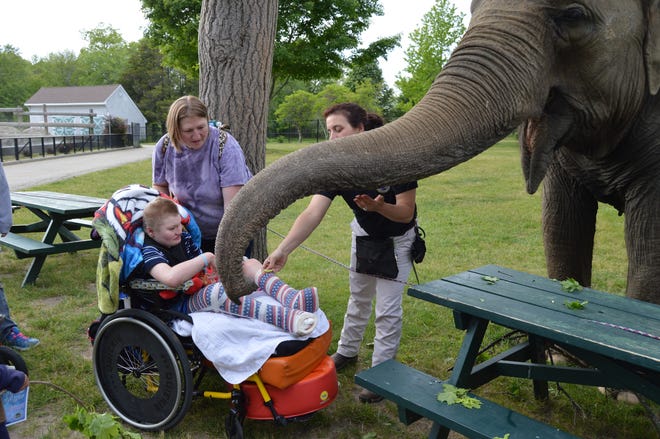 Jared Roussea and his mother, Cheryl Rowe, interact with an elephant and zookeeper Shelly Avila on Friday evening at Buttonwood Park Zoo in New Bedford.

COURTESY OF BUTTONWOOD PARK ZOO