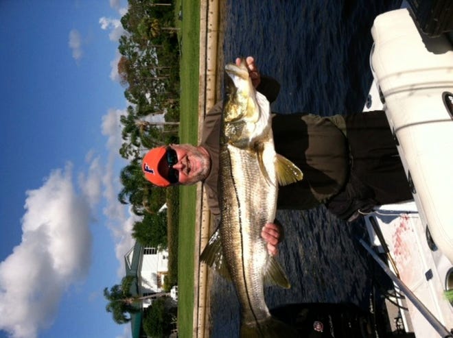 BRENT BARNETT of Lakeland released this monster snook in the Indian River at Fort Pierce on May 14. Barnett said the snook, which hit a threadfin herring, measured 42 inches long with a 25-inch girth and weighed 30 pounds. The season is now closed.