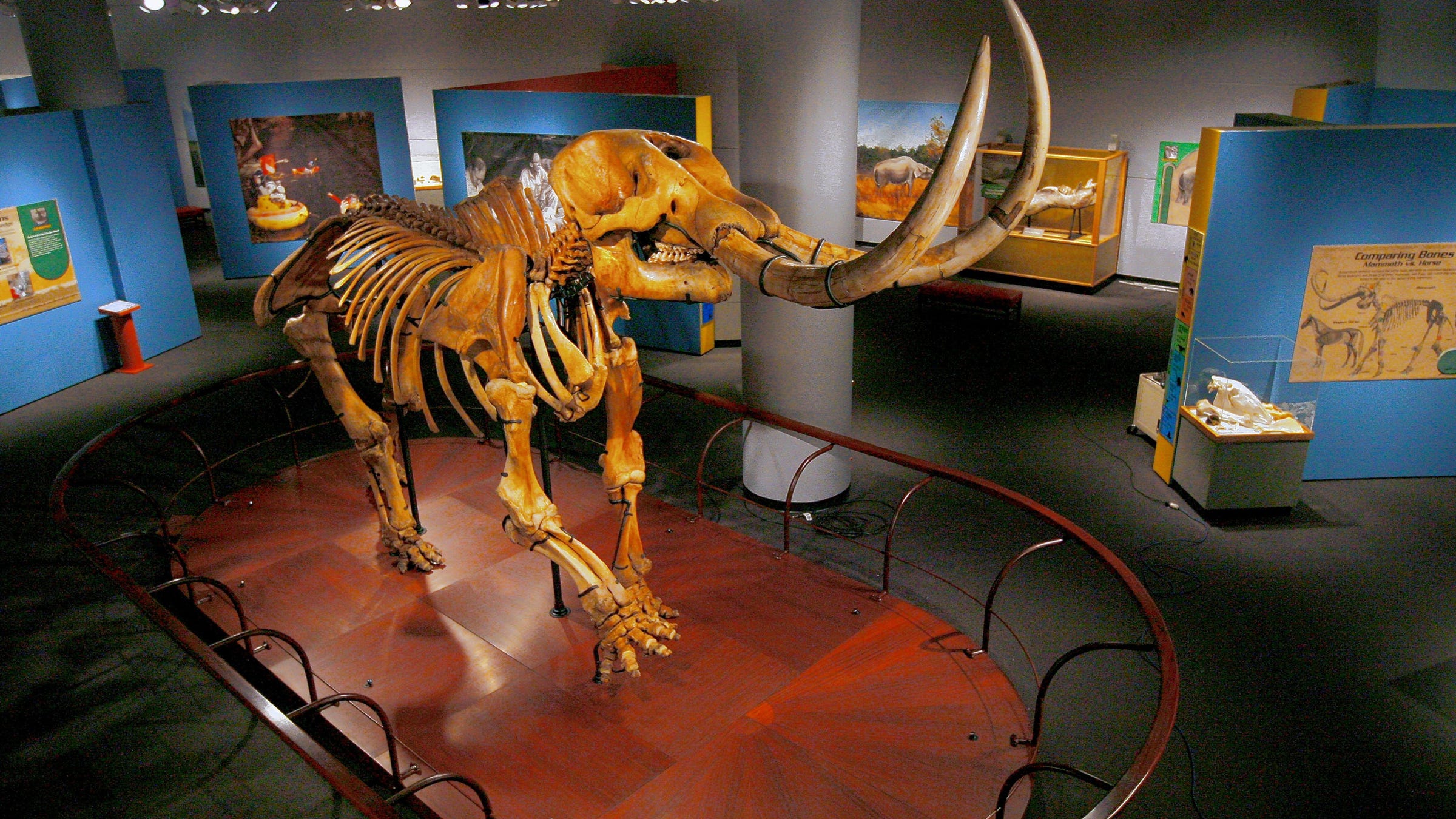 Pocono Cryptids: Field guide to legendary beasts of northeast PA