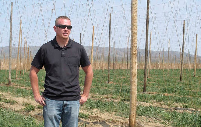 In this April 21, 2015, photo, Ben St. Mary discusses the expansion of his family's hop farm in Moxee, Washington. Spectacular growth in production of craft beer across the U.S. has led to a big growth in the production of hops, a boon for farmers in Washington state's Yakima Valley where 75 percent of the nation's hops are produced. (AP Photo/Nicholas K. Geranios)
