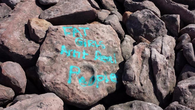 Clean up for paint vandalism on rocks at Boulder Field, Hickory Run State Park could reach as high as $12,000. (Contributed)