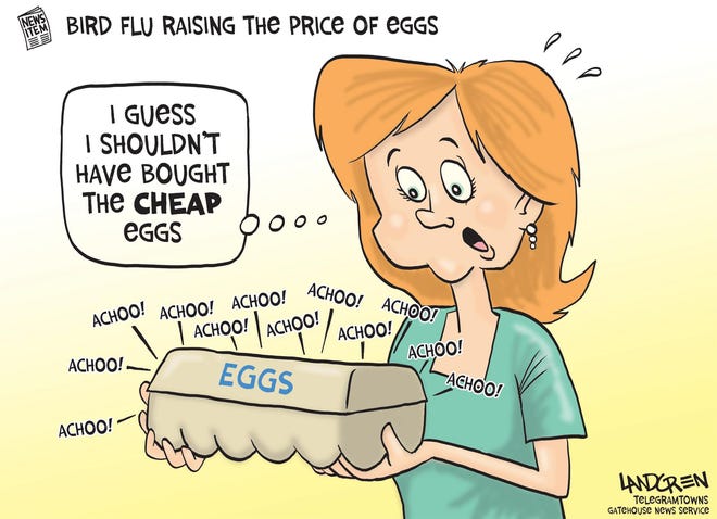Landgren cartoon: Rising egg prices