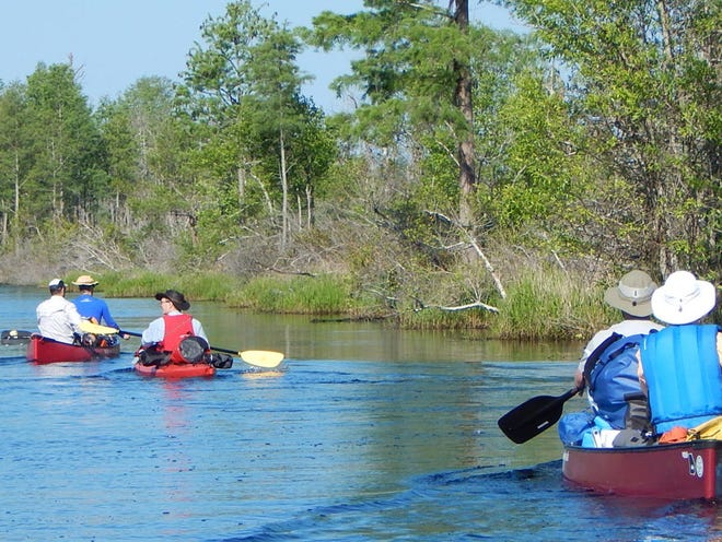 With three major entrance sites scattered among several south Georgia counties, the Okefenokee National Wildlife Refuge is popular with kayakers and canoeists who can paddle and camp among more than 120 miles of canoe trails.