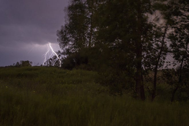 Lightning strikes in the distance while lightning bugs blink in the tall grass, as storms approach Genesee County on Monday, June 22, 2015, in Flushing. Tornados and severe weather warnings have been announced all over Michigan. The Associated Press