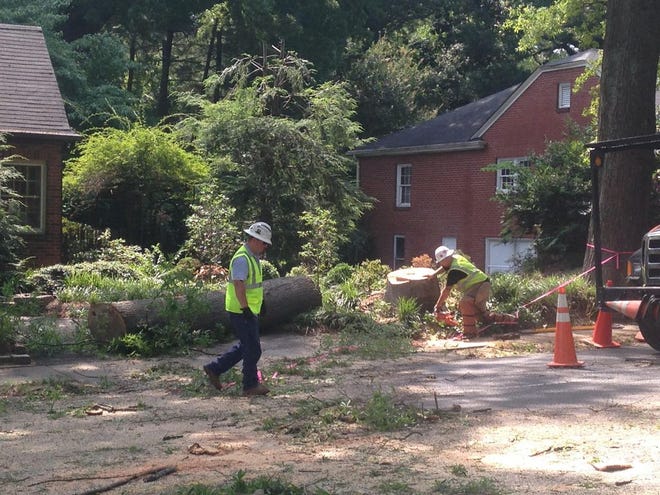 Crew work to remove a large tree at 1212 S. York St. that shut down the street for several hours Thursday morning. Lauren Baheri/The Gazette.