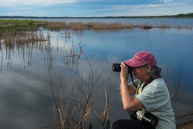 Photographer Jane Ward, of Little America, photographs the early morning scene at Emiquon Preserve. Ward is a member of the Emiquon Corps of Discovery, a group of volunteers who document the evolution of Emiquon through photography, drawing, wtercolor painting and creative writing.