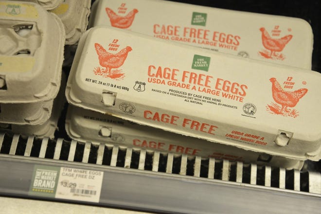 Fresh Market’s cage free eggs’ prices fall within the same range as other stores’ regular eggs because of the shortage.
