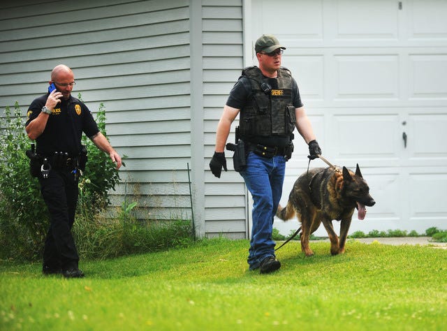 A Boone County Sheriff's Department K-9 unit and an officer from the Ames Police Department investigate a robbery on Melrose Avenue on Tuesday, June 30. Photo by Nirmalendu Majudmar/Ames Tribune 
 Ames' detectives and officers from the Ames Police Department investigate a robbery on Melrose Avenue on Tuesday, June 30. Photo by Nirmalendu Majumdar/Ames Tribune