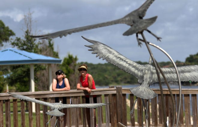 Visitors check out the life-size bronze sculptures of blue herons installed at Waterfront Park in Palm Coast. News-Tribune file/DAVID TUCKER