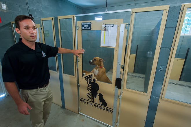 Rory Diamond, Executive Director of K9s For Warriors, talks about the organization and the needs it seeks to meet for returning warriors with physical and psychological battlefield wounds, pairing the veterans with highly trained service dogs to assist them in their daily lives.