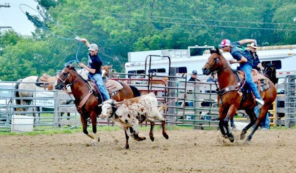 Hillsdale High School junior Cale Johnson and Highland High School student Colton Bugis compete in the team roping event. The pair won the Michigan High School Rodeo state competition. COURTESY PHOTO