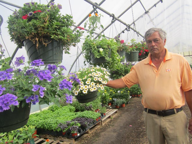 Richard George's greenhouses on Slocum Road are almost bare as he has decided to close his plant business. He has operated it on his brother John George Jr.'s property for 25 years. AUDITI GUHA/THE STANDARD-TIMES