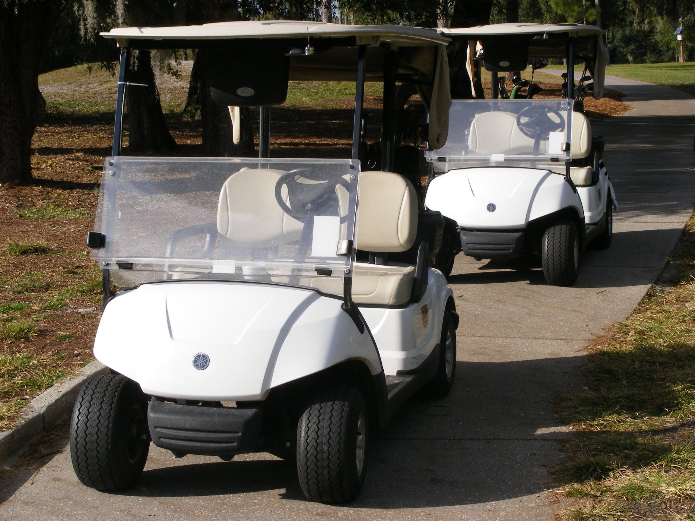 golf cart names