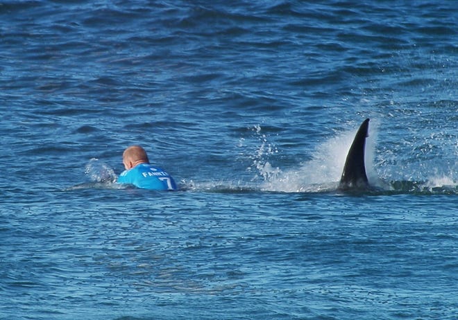 In this image made available by the World Surf League, Australian surfer Mick Flanning is pursued by a shark, in Jeffrey's Bay, South Africa, Sunday, July 19, 2015. Knocked off his board by an attacking shark, a surfer punched the creature during the televised finals of a world surfing competition in South Africa before escaping. Fanning was attacked by a shark on Sunday during the JBay Open but escaped without injuries.