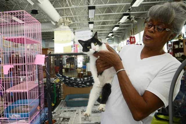 Doris Whitfield checks on Mystic as she works Monday inside Second Chances Thrift Store on Vernon Avenue. The store is celebrating its five year anniversary on Saturday.