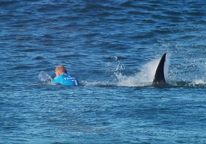 In this image made available by the World Surf League, Australian surfer Mick Flanning is pursued by a shark, in Jeffrey's Bay, South Africa, Sunday, July 19, 2015. Knocked off his board by an attacking shark, a surfer punched the creature during the televised finals of a world surfing competition in South Africa before escaping. Fanning was attacked by a shark on Sunday during the JBay Open but escaped without injuries. (W orld Surf League via AP) MANDATORY CREDIT  FOR ALL ONLINE USE PLEASE INCLUDE A LINK TO WORLDSURFLEAGUE.COM.