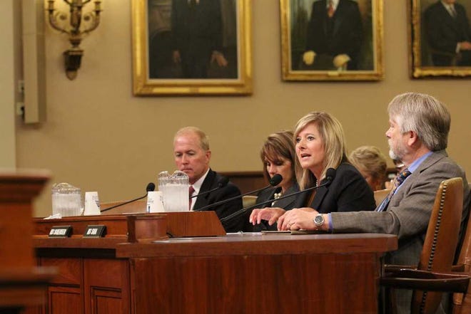 Holton Community Hospital CEO Carrie Saia testified Tuesday before a House Committee on Ways and Means subcommittee.