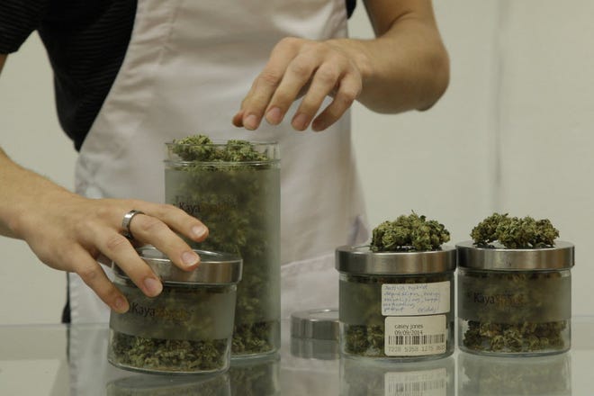 An employee at an Oregon dispensary displays different types of medical marijuana.