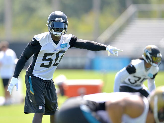 Telvin Smith (50) points during a play in minicamp. Tuesday was the first of three days of veteran minicamp for the NFL's Jacksonville Jaguars at Florida Blue Health and Wellness Practice Fields on June 16, 2015, in Jacksonville, Florida.