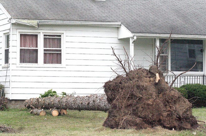 An uprooted tree is pictured at the intersection of Berthoud and Dahlin streets in Nelliston on Tuesday afternoon. The National Weather Service said a microburst of straight-line winds up to 100 miles per hour took down trees and power lines in the Mohawk Valley. The winds ripped through Fort Plain around 7:30 p.m. Monday with gusts ranging from 90 to 100 mph. The burst of wind, according to the National Weather Service, was confined to an area of about a mile and a half in Fort Plain. TIMES TELEGRAM PHOTO/JON RATHBUN