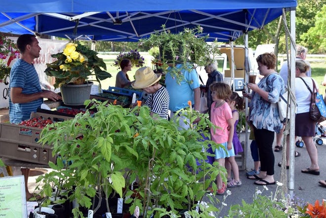 The Hingham Farmers Market is growing its customer base and its lineup of vendors.