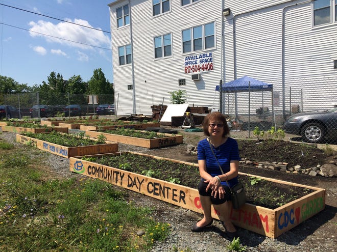 Marilyn Lee-Tom, the executive director of the Community Day Center of Waltham, a homeless shelter, sits on one of the raised beds in the recently created garden next to the center, located on Felton Street, on Tuesday, Aug. 4. Wicked Local photo by Ignacio Laguarda