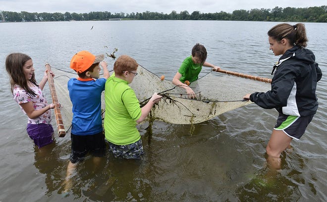 On Aug. 12, students use a net, called a seine, to collect small fish and other aquatic life in Misery Bay at Presque Isle State Park. From left are: Calla Siegrist, 10, of Harborcreek Township; Owen Zola, 10, of Erie; Garrett Zola (Owen's half-brother), 12, of Girard; Trinity Anderson, 13, of Erie; and Kaitlyn Vitale, 23, a program assistant with Environment Erie. The students are taking part in a weeklong program organized by Environment Erie called the Summer Field Studies Program. It introduces students to the park, the environment and to community service. Nine students are taking part in the program, which is being organized for the first time by Environment Erie. In the past it's been coordinated by Pennsylvania Sea Grant and Penn State Behrend's College for Kids. CHRISTOPHER MILLETTE/