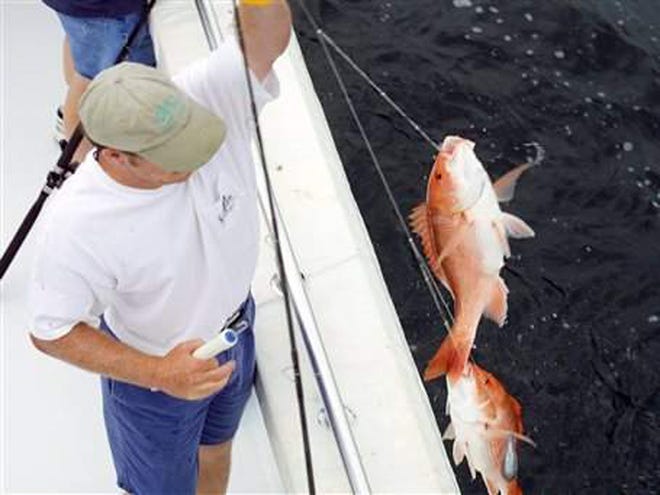 A new rule dealing with red snapper, a prized catch in the Gulf of Mexico, pits the charter fishing industry against groups representing indvidual anglers.